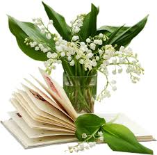Epingle Sur Le Muguet Lily Of The Valley