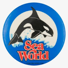 Check spelling or type a new query. Seaworld Logo Png Images Free Transparent Seaworld Logo Download Kindpng