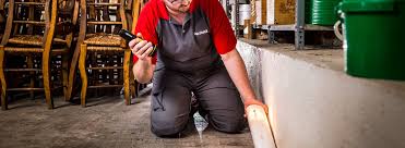 Call free on 0800 777 585 or 027 687 3748. Connected Pest Control Rentokil New Zealand