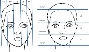 It is the awareness of the small variations in these proportions from person to person that enables us to create a realistic portrait of the individual. Scielo Brasil Assessment Of Facial Analysis Measurements By Golden Proportion Assessment Of Facial Analysis Measurements By Golden Proportion