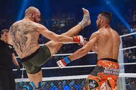 Российский боец mma александр волков опубликовал в instagram фото своей новой татуировки. Boevoj Okras Chto Oznachayut Tatuirovki Na Telah Professionalnyh Bojcov Maxim