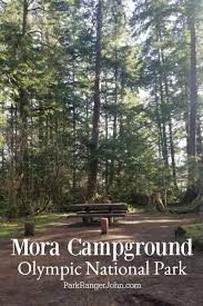 There are fourteen campgrounds at olympic national park with over 800 campsites for tents and rv campers. Ultimate Olympic National Park Camping Guide Video Park Ranger John