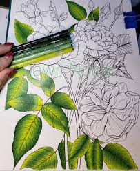 Pin By Eva Seekers On Prisma Combo S Coloring Book Art Color Pencil Art Color Pencil Drawing