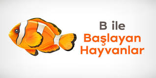 Y harfi i̇le başlayan hayvan i̇simleri. B Ile Baslayan Hayvanlar B Harfi Ile Baslayan Hayvanlar