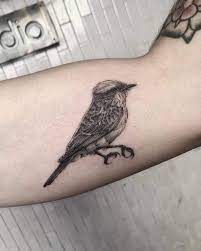 Robin bird tattoo robin bird with ribbon emblem stock. Top 91 Best Robin Tattoo Ideas 2021 Inspiration Guide