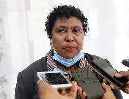 SEII revê Plano de Ação Nacional sobre Violência Baseada no Género para  2022-2026