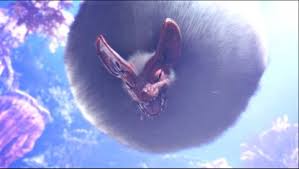 Check spelling or type a new query. Mhw Iceborne How To Beat Paolumu Tips And Recommended Gear Gamewith