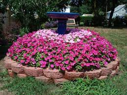 Maybe you would like to learn more about one of these? Hiding A Tree Stump I Need Several Of These In My Yard Now Backyard Garden Design Yard Landscaping Backyard Garden Design Tree Stump Planter