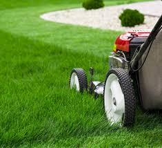 Maybe you would like to learn more about one of these? Lawn Care Dahlonega Ga Lawn Care Cumming Ga Casey Scapes