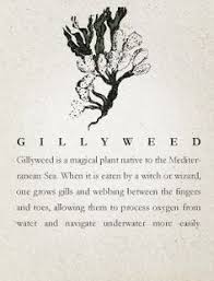 The only way to add to it is to create another article in this category. A Comprehensive Botanical A Z Of Magical Herbs And Fungi For Easy Plant Identification And Ap Harry Potter Printables Harry Potter Journal Harry Potter Spells