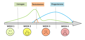 Emotional Menstrual Complaints Nutri Gyn