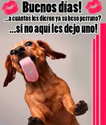 We did not find results for: Imagenes De Buenos Dias Chistosas Gratis Photos Facebook