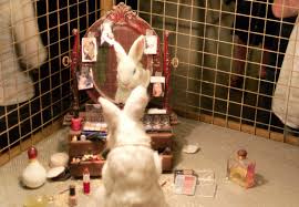 Using animals in research and to test the safety of products has been a topic of heated debate for decades. China To End Mandatory Animal Cosmetics Testing Greener Ideal