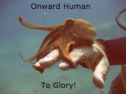 Onward Human To Glory Funny Animals Funny Animal Pictures Animal Captions