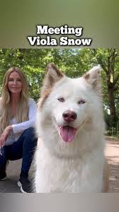 Viola Shepherd's Instagram, Twitter & Facebook