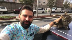 Kizgin Kedi Nasil Sakinlestirilir Veteriner Hekimi Anlatiyor Youtube