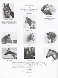 Image result for Arabian Brown 1930 Dodge