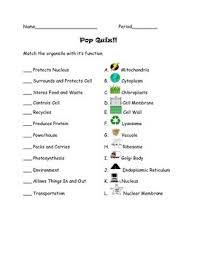 Our online cell organelle trivia quizzes can be adapted to suit your requirements for taking some of the top cell organelle quizzes. Parts Of A Cell Organelles Quiz And Answers By Sweet D Tpt