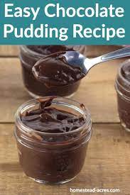 Easy Chocolate Pudding Recipe Recipe In 2020 Chocolate Pudding Recipes Easy Chocolate Pudding Easy Pudding Recipes