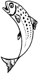 How To Draw Cartoon Fish Jumping Out Of The Water How To Draw Step By Step Drawing Tutorials Cartoon Drawings Fish Jumps Cartoon Fish
