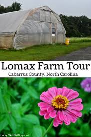 Lomax Farm Laugh With Us Blog Budget Friendly Travel Travel Fun Family Travel Destinations