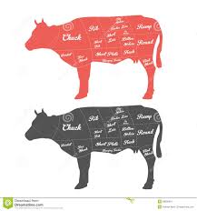 Illustration Of Beef Cuts Chart Cow Stock Vector