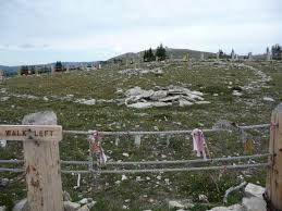 Maybe you would like to learn more about one of these? Medicine Wheel Bighornmountains Wyoming Usa Bild Von Medicine Wheel National Historic Landmark Lovell Tripadvisor
