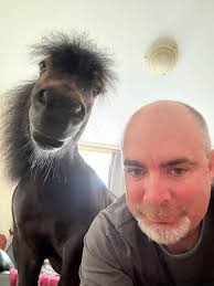 Yet another great night. Lisa Day 247. Not a bad distance for awsome  company