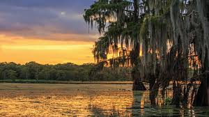 Discoveramerica.com is the usa's official travel website. Colleges In Louisiana