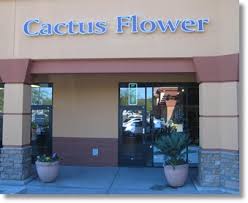 Check spelling or type a new query. Chandler