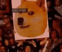 Want to see more posts tagged #doge gif? Doge Dogecoin Gif Find Share On Giphy