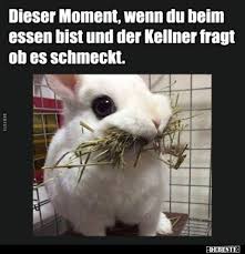 Dieser Moment Wenn Du Beim Essen Bist Und Der Kellner Dumme Lustige Bilder Lustige Tiervideos Dieser Moment
