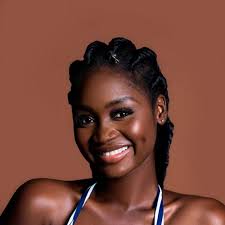 TOP 10 BEST African Hair Braiding Salons in Tysons Corner, VA