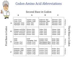 Amy Brown Science New Free Item Chart Of Amino Acids And