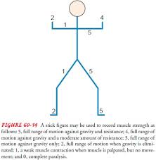 With safari, follow these directions. Physical Examination Assessment The Neurologic Examination
