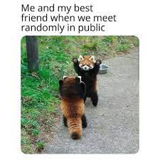 Comedyposts smile comedy funnystory instamemes followme cleanandfunny funnymeme jokes clean laughing memes memesdaily lol funny funnyvids humor instameme memegram haha cleanhumor hilarious funnyposts funnymovie. 50 Funny Clean Memes Perfect For Kids Yellow Blogtopus