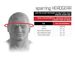 Details About Century Martial Arts Padded Weapons Protective Headgear