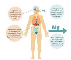 What are the symptoms of a deficiency of magnesium? Could Magnesium Deficiency Be Contributing To Your Anxiety Suruchi Chandra M D