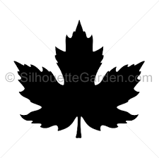 Maple Leaf Silhouette Leaf Silhouette Silhouette Art Silhouette Clip Art