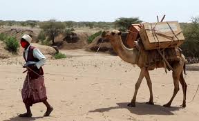 Hey i am ur camel. Covid 19 A Camel Library Takes Remote Learning To New Levels Save The Children International