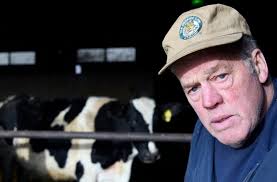 Organic dairy farmers in Maine, Northeast offered new assistance in wake of  contract cancellations