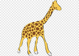 Nous allons voir comment dessiner une girafe de la manière la plus simple possible, d'abord en quelques conseils pour dessiner le portrait de cette girafe. Dessin De Girafe Girafe Mammifere Animaux Png Pngegg