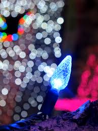 Wildlights At Woodland Park Zoo Zoo Seattle Winter Light Festival Woodland Park Zoo