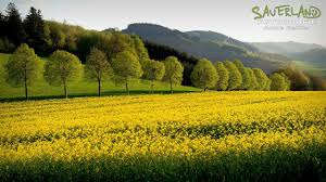 Naturparadies Sauerland Sauerland Bilder Natur