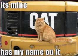 Hilarious Animal Pics With Captions Compilation Of Cute Animal Photos With Funny Captions Funny Animals With Captions Funny Animals Funny Animal Pictures