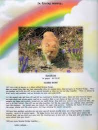Rainbow bridge poem printable copy page 1 line 17qq com. Petloss Chat Room Rainbow Bridge Rainbowbridge Candle Ceremony
