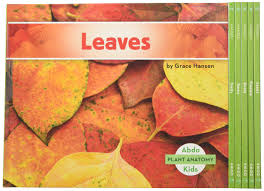 Free shipping for many products! Plant Anatomy Set Hansen Grace 9781680801347 Amazon Com Books