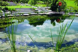 Piscine Naturelle Cote Maison