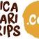 Africa Safari Trips logo