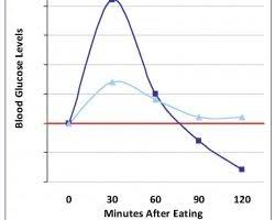 Metabolic Stress